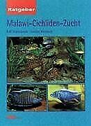 Malawi cichliden zucht gebraucht kaufen  Berlin