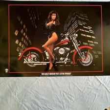 Harley davidson poster for sale  Albany