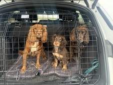 Barjo tailgate car for sale  SANDWICH