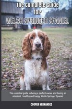 Complete guide welsh for sale  ROSSENDALE