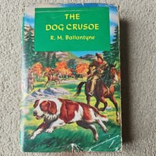 Dog crusoe for sale  PENMAENMAWR