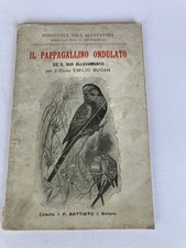 Pappagallino ondulato ed. usato  Mel