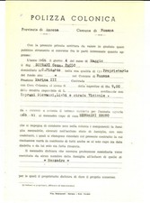 1966 numana polizza usato  Milano