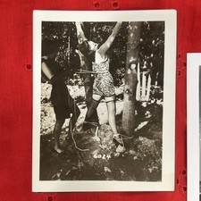 1950 bettie page for sale  Glastonbury