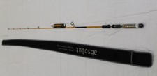 Canna spinning sportex usato  Luzzara