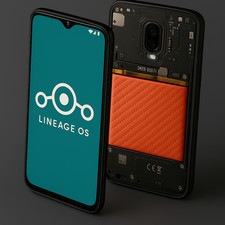Telefono degoogled oneplus usato  Cavalese