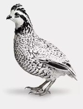 Quail eggs snowflake for sale  BIRMINGHAM