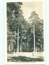 1940 rppc nice d'occasion  Expédié en Belgium