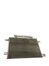 A1695000354 radiatore clima usato  Castagnaro