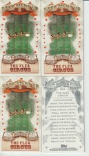 flea circus for sale  Watertown