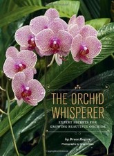 Orchid whisperer expert for sale  North Smithfield