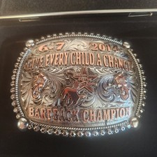 Rodeo bareback champion for sale  Modesto