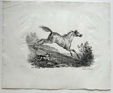 Chevaux carle vernet d'occasion  Paris VI