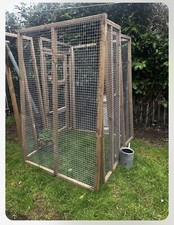 Cat kitten small for sale  RICKMANSWORTH