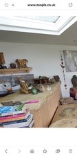 Sycamore oak bar for sale  BURNLEY