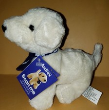 Golden labrador retriever for sale Golden labrador retriever for sale  COVENTRY