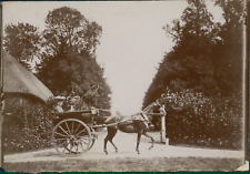 Calèche parc ca.1901 d'occasion Calèche parc ca.1901 d'occasion  Pagny-sur-Moselle