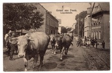 Gruss daun leopoldstrasse gebraucht kaufen  Daun