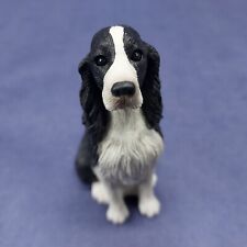 Sandicast springer spaniel for sale  Deep River