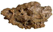 Clean cleaned burl for sale  Freeport