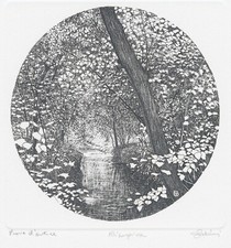 Zaliani agostino zaliani usato  Acqui Terme