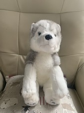 Lapland husky jarvi for sale  MILFORD HAVEN