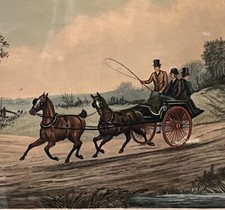 Antique engravings horse for sale  WINCHESTER