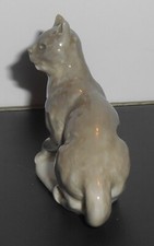 french cats for sale  Oshkosh
