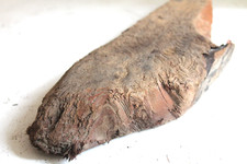 Schwemmholz treibholz brett gebraucht kaufen Schwemmholz treibholz brett gebraucht kaufen  Fronreute