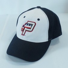 Potomac nationals milb for sale  Fredericksburg