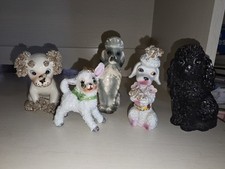 Five adorable poodle for sale  Hico