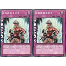 Riryoku field comune usato  Ravenna