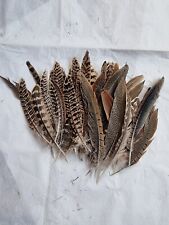 30natural mixed feathers for sale  TENTERDEN