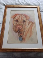 Shar pei picture for sale  WAKEFIELD