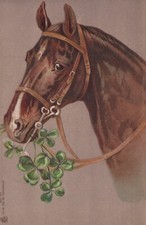 Usado, Trevo de quatro folhas Horse in Bridle Munching - Não usado/não publicado comprar usado  Enviando para Brazil