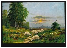 Künstler present schäfer gebraucht kaufen  Schwalmtal