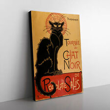 Tournee chat noir d'occasion  Expédié en Belgium