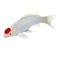 Mojo tancho koi for sale  HEBDEN BRIDGE