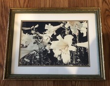 lily artwork for sale lily artwork for sale Cleveland