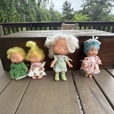Lotto figurine shortcake usato  Spedire a Italy