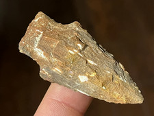 texas petrified wood for sale texas petrified wood for sale Quincy