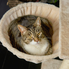 Runesol katze baumturm gebraucht kaufen  Versand nach Germany