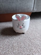 Rabbit bunny plant for sale  UK