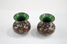 japanese chrysanthemum for sale  LEEDS