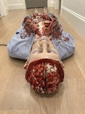 Professional grade animatronic for sale  Greenville