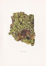 1968 pyromorphite print for sale  BIDEFORD