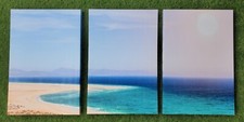 Panel ocean beach for sale  Gurnee