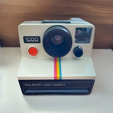 Polaroid 1000 land usato  Gravina in Puglia