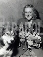 Vintage animali cinque usato  Roma