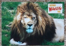 Postcard dartmoor wildlife for sale  LEICESTER